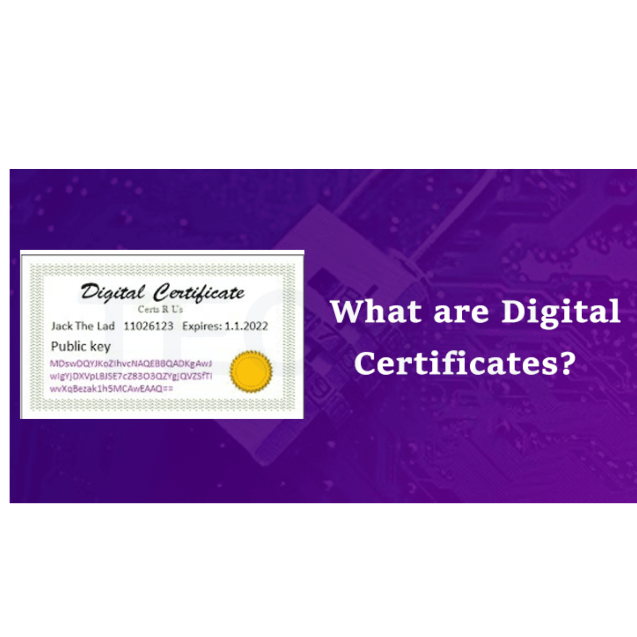 What is digital Certificate